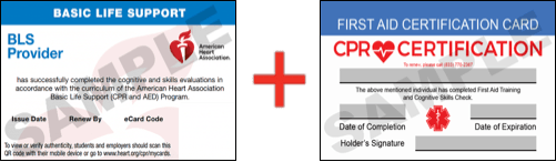 Sample American Heart Association AHA BLS CPR Card Certification and First Aid Certification Card from CPR Certification Arlington