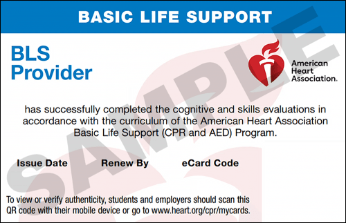Sample American Heart Association AHA BLS CPR Card Certification from CPR Certification Arlington