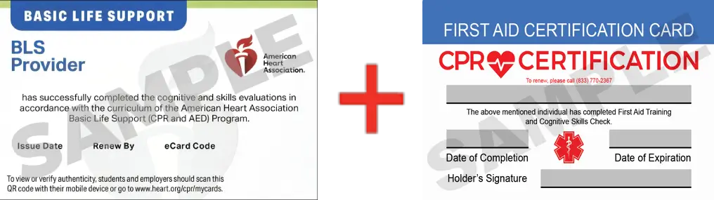 Sample American Heart Association AHA BLS CPR Card Certification and First Aid Certification Card from CPR Certification Arlington