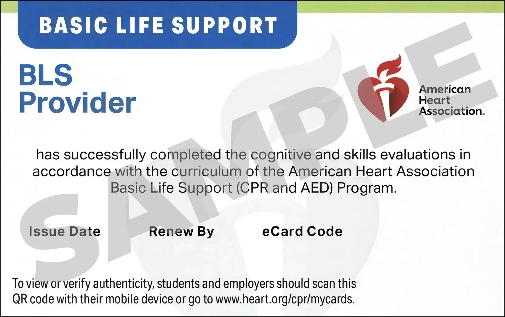 Sample American Heart Association AHA BLS CPR Card Certification from CPR Certification Arlington